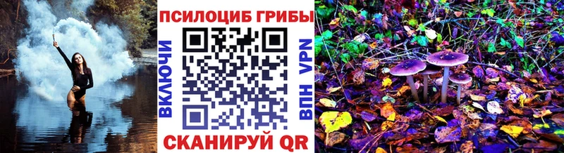 закладка  Котельники  Псилоцибиновые грибы мухоморы 