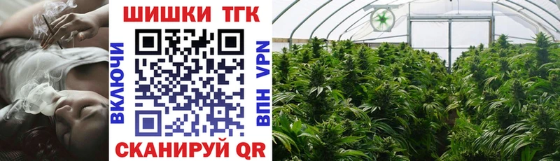 Конопля сатива  Котельники 